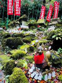 【神奈川県/鎌倉　白狐の置物がたくさん並ぶ神秘的な場所『佐助稲荷神社』】