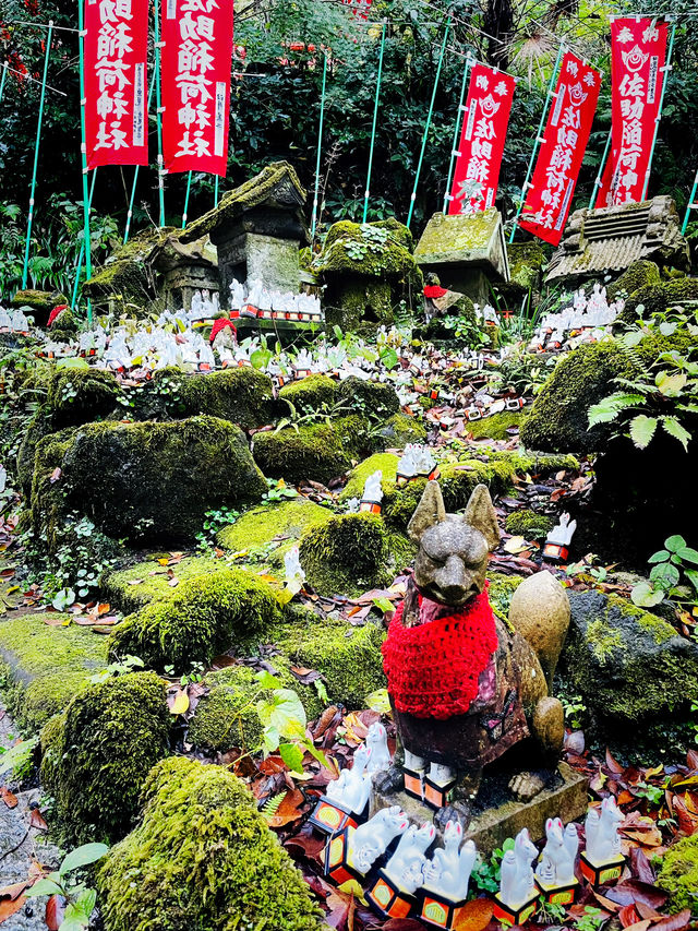 【神奈川県/鎌倉　白狐の置物がたくさん並ぶ神秘的な場所『佐助稲荷神社』】