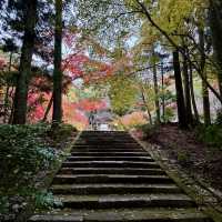 紅葉の名所、古刹「洞光寺」。