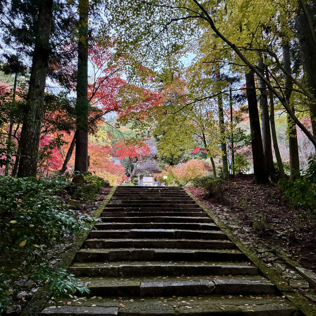 紅葉の名所、古刹「洞光寺」。
