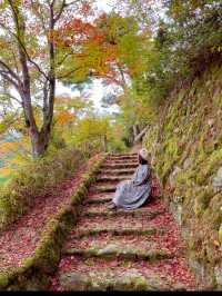 奈良観光🍁美しい秋の彩り吉野・高城山展望台🍁