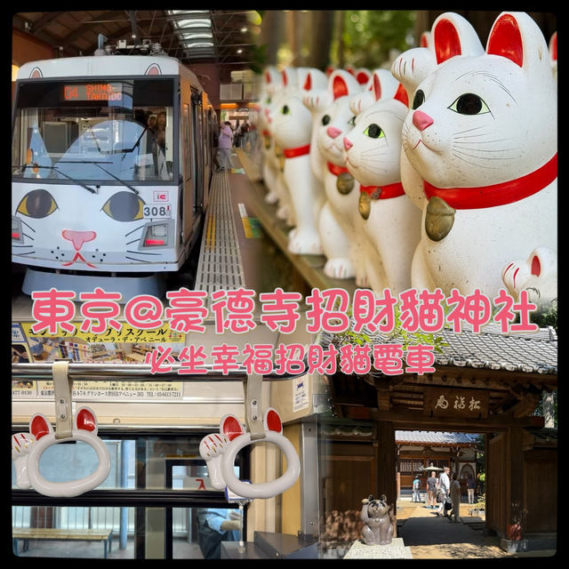 招福貓發源地之一！