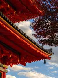 景點推薦：清水寺——京都紅葉絕景的經典地標