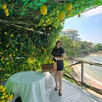 คาเฟ่ Papa Beach Pattaya