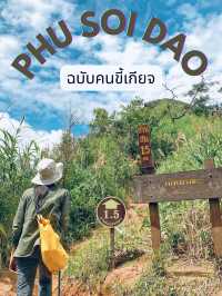 รีวิว ภูสอยดาวฉบับคนขี้เกียจก็ขึ้นได้ 🌳⛰️