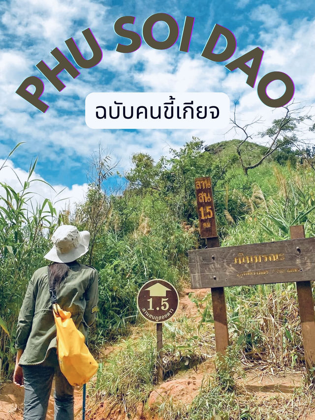 รีวิว ภูสอยดาวฉบับคนขี้เกียจก็ขึ้นได้ 🌳⛰️
