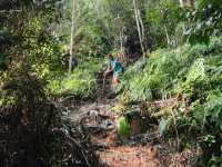 Quick 5km hike / trail run in Jerudong, Brunei !