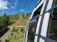 Thrilling Adventures Await at Skyline Rotorua