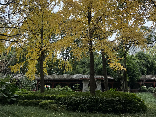 人民公园 (People’s Park) ไปหาคู่กัน❤️