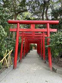 全国にある住吉神社の最初の神社  3つのパワースポットあり！
