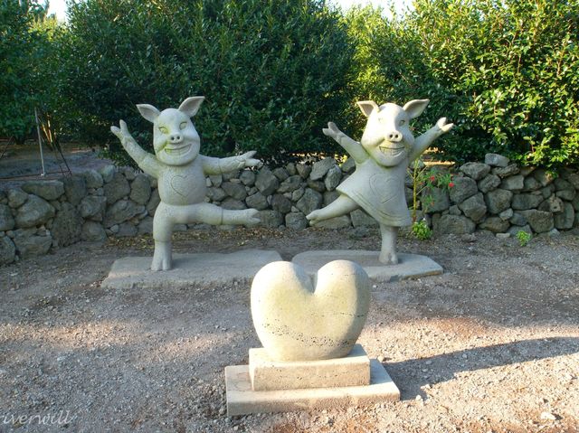 【韓国・済州島】秋の風物詩！ピンクのススキ畑「休愛里自然公園」