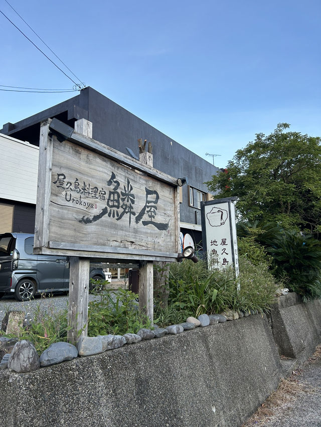 屋久島の味覚を堪能【屋久島料理 宿 鱗屋】