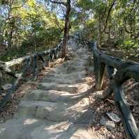 深圳行山之旅：梧桐山登雲道