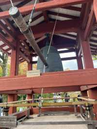 【京都　宇治】紅葉シーズンの平等院