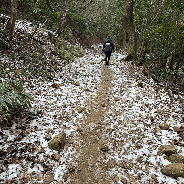 🇯🇵漫步有馬溫泉療癒之森🌲