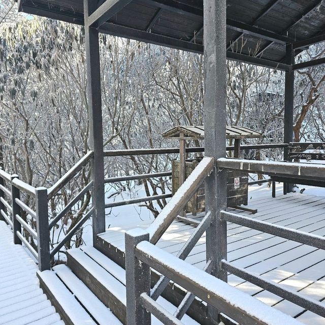 ภูเขาหิมะเจี่ยวจือ [Jiaozi snow mountain]