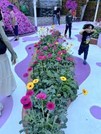 Agro Market: A Fresh Taste of Cameron Highlands