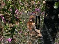 Dive Into a World of Light and Imagination