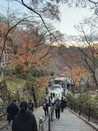 Kiyomizu-dera Temple