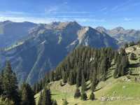  Hiking the Schynige Platte: A Swiss Alpine Wonderland
