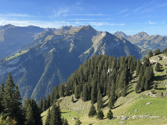  Hiking the Schynige Platte: A Swiss Alpine Wonderland