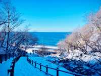 【週末で堪能】北海道網走1泊2日と冬の魅力を満喫する旅