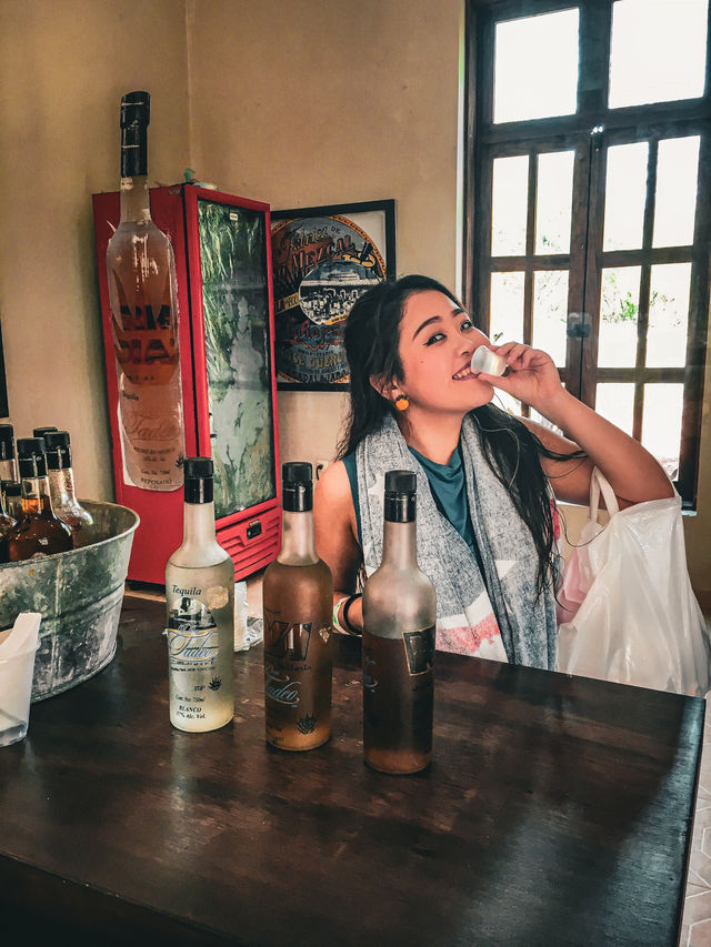 【メキシコ】お酒好きには堪らない！本場のテキーラを🍸