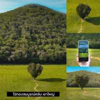 รวม 15 พิกัดเที่ยวเขาใหญ่ สวยยังกับเมืองนอก🌳