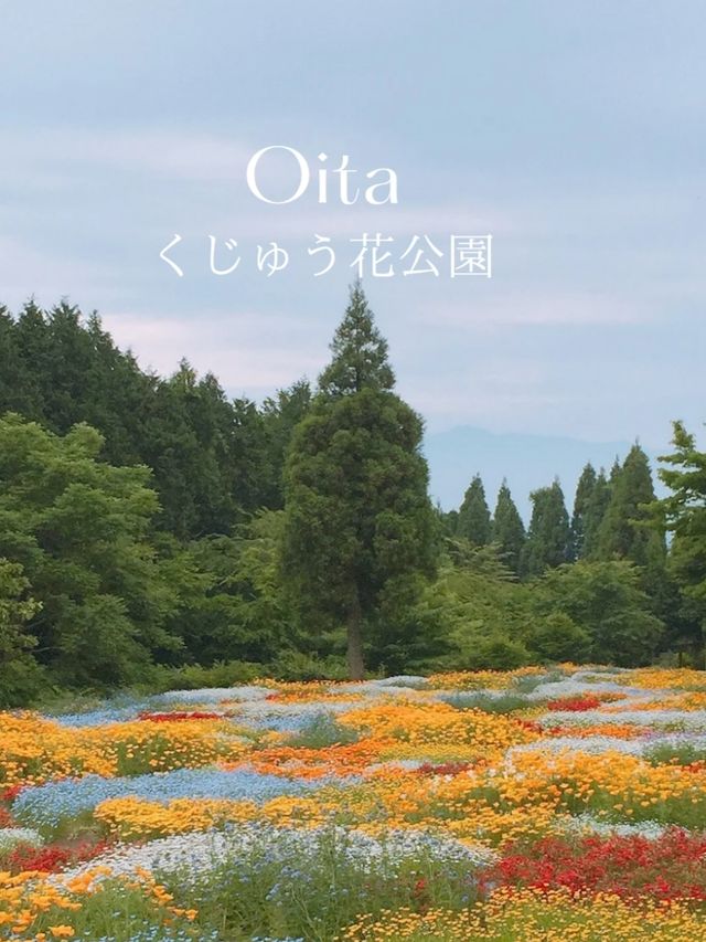 【天国は大分にあった！】