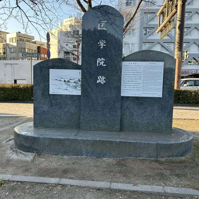 A must-visit 2-day travel experience in Kagoshima!