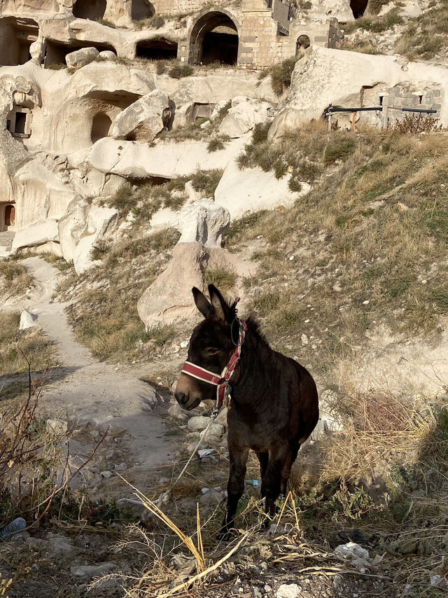 Uchisar Castle: Journey into Cappadocia