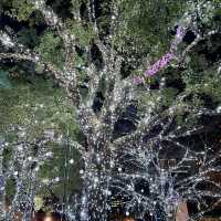 A Magical Holiday Experience: Christmas Illuminations in Tokyo