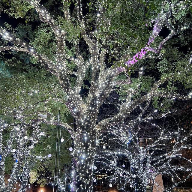 A Magical Holiday Experience: Christmas Illuminations in Tokyo
