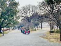 Relax in the Tranquil Parks Near Osaka Castle