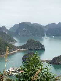 Ha Long Bay Overnight Cruise ❤️🇻🇳