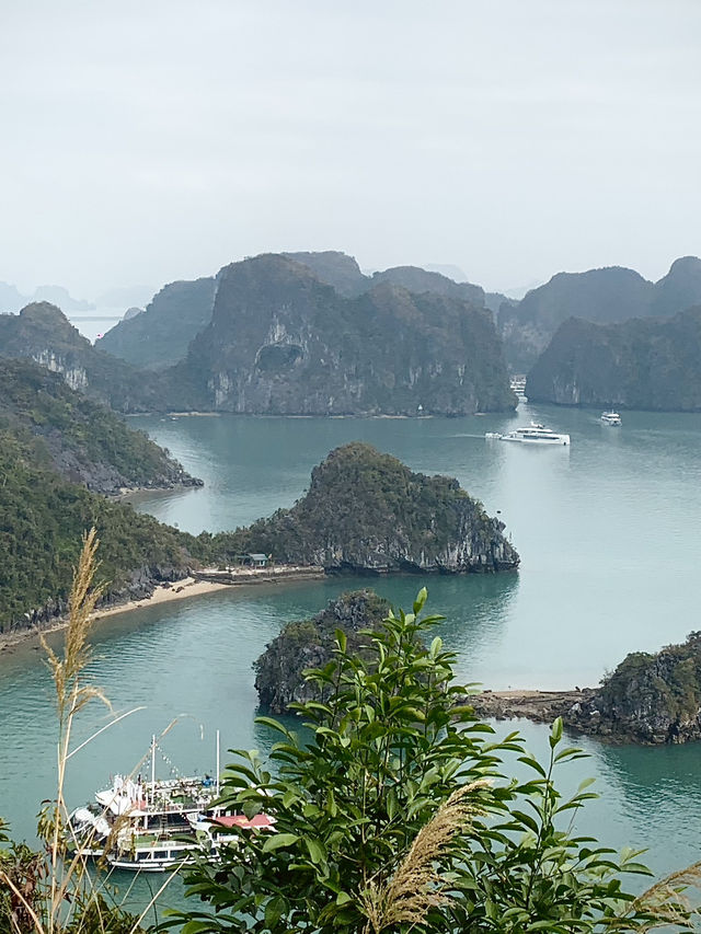 Ha Long Bay Overnight Cruise ❤️🇻🇳