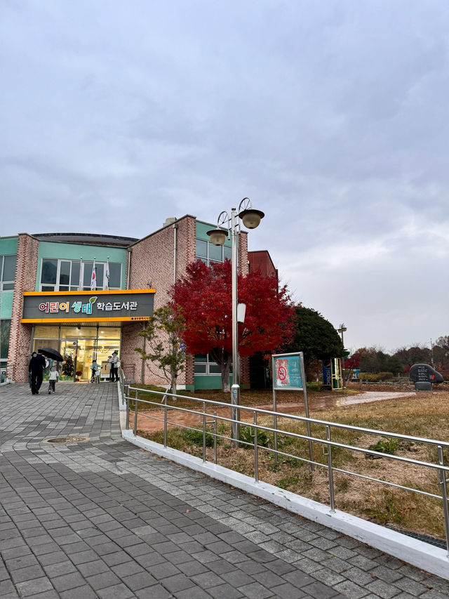광주 서구 아이들과 함께 책 읽기 좋은 도서관, 서구어린이생태학습도서관