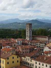 【イタリア・ルッカ】Guinigi Tower （グイニージ塔）