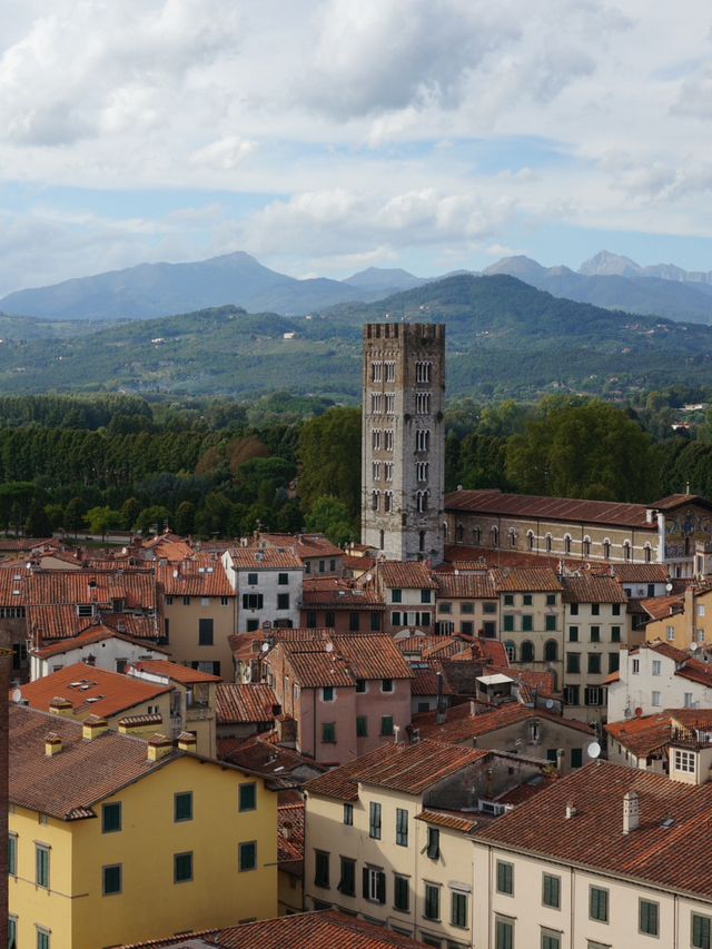 【イタリア・ルッカ】Guinigi Tower （グイニージ塔）