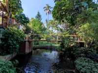 คาเฟ่สไตล์โฮมมี่ เหมือนมาบ้านเพื่อน จังหวัดพะเยา