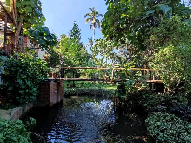 คาเฟ่สไตล์โฮมมี่ เหมือนมาบ้านเพื่อน จังหวัดพะเยา