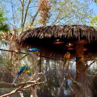 廣州動物園：在“動物的夢幻樂園”中發現童趣 🦁🌳