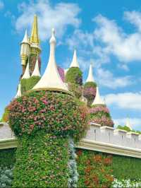 An awesome day spent at Dubai miracle garden 🪴 