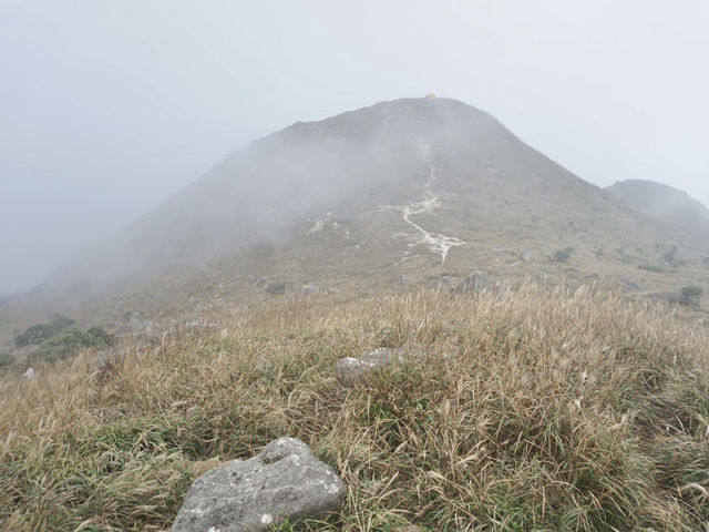 Into the Mist: The Enchanting Hike Up Sunset Peak