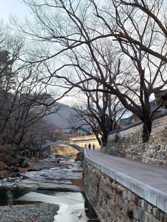 고즈넉한 자연 속, 통도사 여행✨