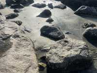 Lantau Longing — Tong Fuk Tsuen Village and its Pristine Beach