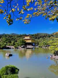 🇯🇵 Kyoto’s Beauty: Rising Sun Above the Crowds