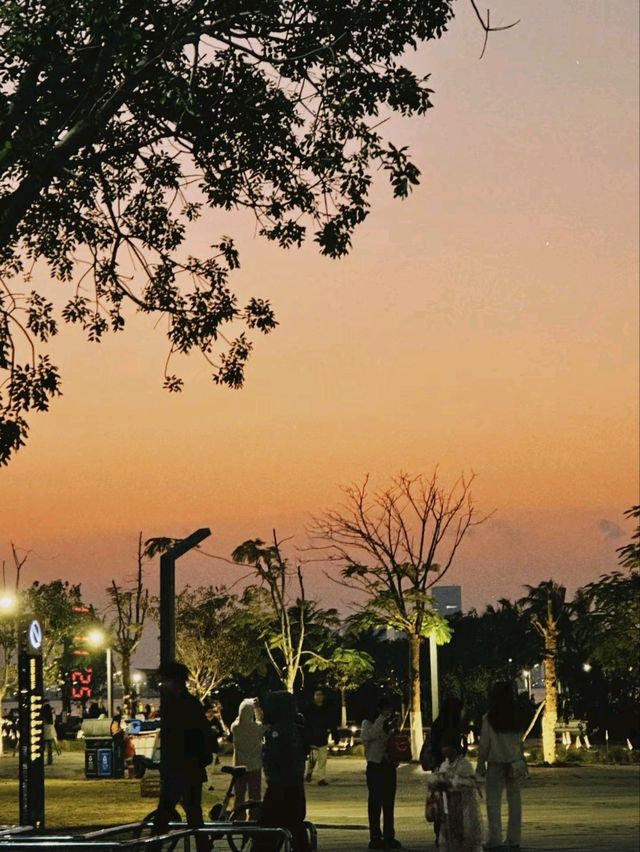 三亞市最詳細攻略：帶你探索陽光沙灘與浪漫夜景的夢幻旅程！🌴✨