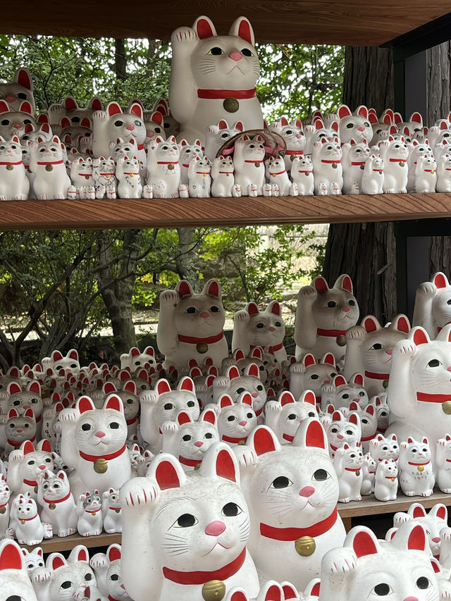 貓奴必去打卡點-豪德寺