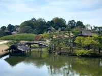 岡山必遊，日本三大名園之「後樂園」